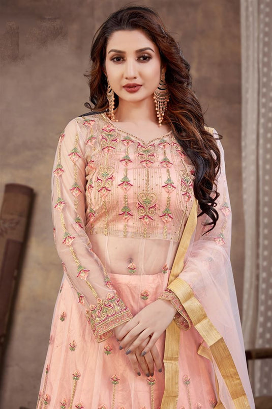 Peach Color Net Fabric Embroidered Work Awesome Anarklai Suit