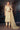 Captivating Net Fabric Function Wear Embroidered Cream Color Straight Cut Salwar Suit