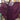 Georgette Fabric Function Wear Glamorous Gown In Wine Color