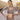Exclusive Sangeet Wear Dark Beige Color Net Fabric Designer Lehenga Choli